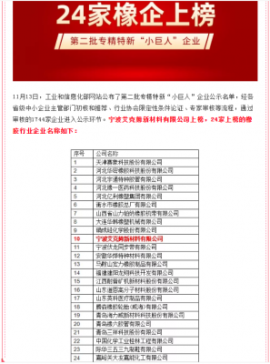 工信部公示第二批專(zhuān)精特新“小巨人”企業(yè)，寧波艾克姆新材料有限公司上榜！